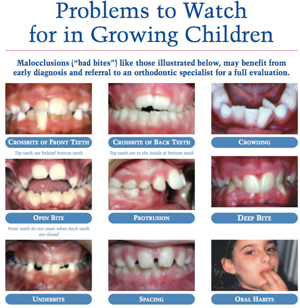 Mandarin Orthodontists
